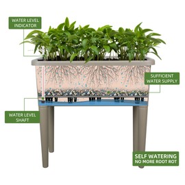 Dexceder 13.2 Gallon Self Watering Raised Garden Bed with Ventilation Transparent Lid Greenhouse, Deepen Vegetable Flower Box Planter Pot with Removeble Legs&Water Level Indicator (Light Brown)