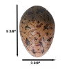 Prehistoric Speckled Dragon Egg Fossil Statue With Base Stand Jurassic