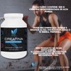 Creatina Monohidratada Alta Pureza y Alta absorción con 500 g