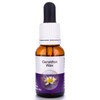 Living Essences Geraldton Wax 15ml
