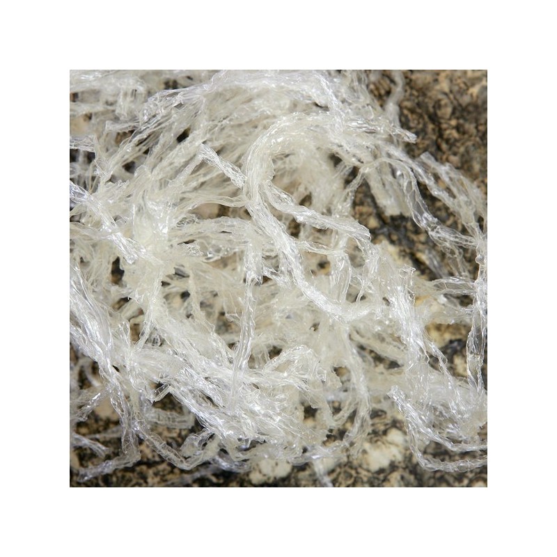 감성먹거리 한천가루 한천분말 100g Emotional Snack Agar Powder 100g