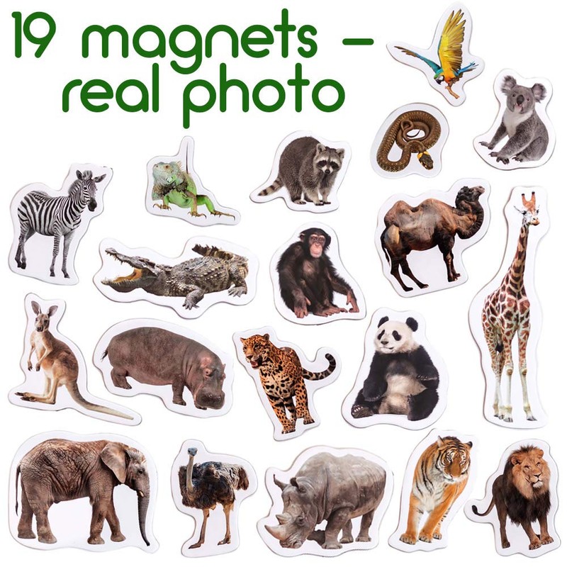 Fridge Magnets For Toddlers Magdum - 19 ZOO Photo Kids
