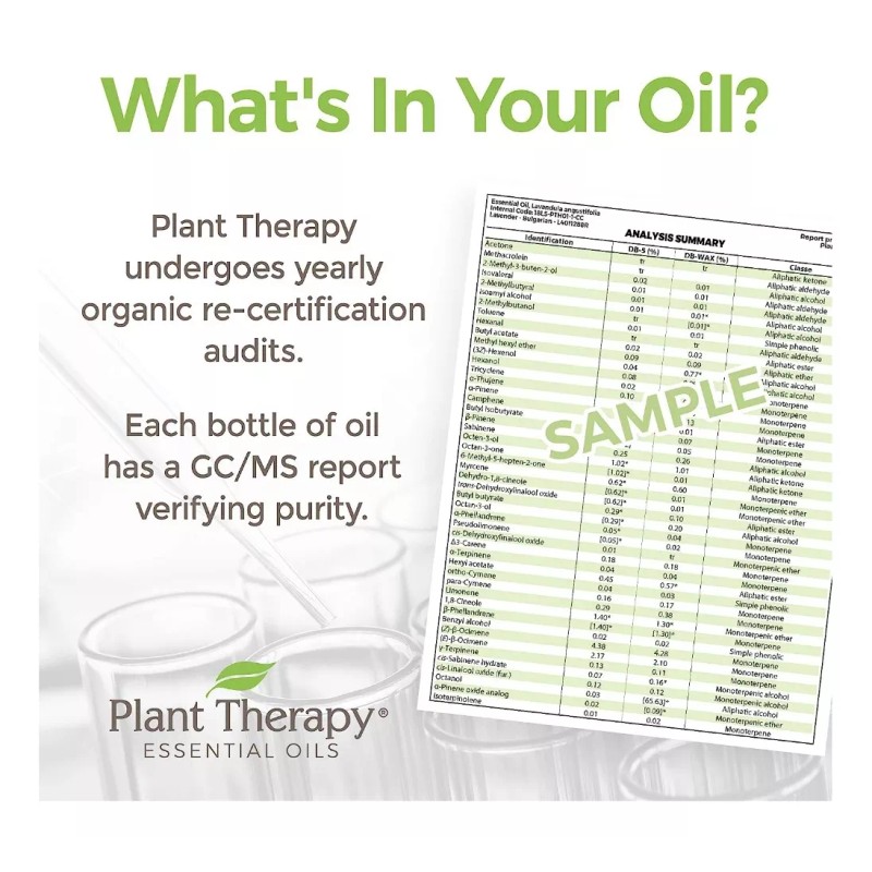 Plant Therapy Aceite Esencial Orgánico De Lavanda 10 Ml