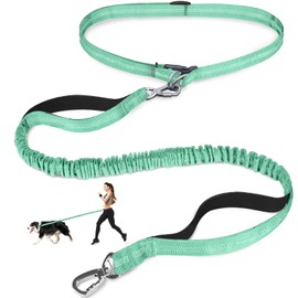 Laqibak Hands Free Dog Leash, Adjustable Waist Leash for Dog, Handle Bungee Dog Leash 4.2-6.7 Feet Long with Reflective Stitches for Walking Hiking Running, Fits 26"- 47" Waist, Mint Green