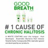 Goodbreath Mouthwash - Mint Mouth Rinse for Chronic Halitosis -
