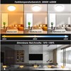 LED Ceiling Light Dimmable with Remote Control 24 W RGB