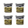 OXO Steel POP Mini Container - 0.2 Qt (Pack of