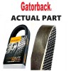 Continental Elite Serpentine Poly-V The Quiet Belt Gatorback CONTINENTAL ELITE/Goodyear