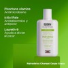 ISDIN Nutradeica Shampoo Anticaspa grasa, Reduce la Descamación, el Picor