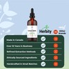 Herbity Lemon Balm Tincture – Alcohol-Free Herbal Supplement for Relaxation,
