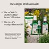 RAUSCH Original Hair Tincture 200 ml for Hair Loss