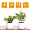 24 PCS Absorbent Waterproof Plant Coasters mat,4 Size 4/6/ 8/10