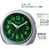 RHYTHM 8RE66SR19 Rhythm Alarm Clock, Analog Look, Night, Light, Automatic,