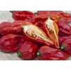 Kokumi! Super Spicy Death Spices, Set of 5 (1 each