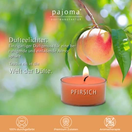 pajoma® Tea Lights Pack of 8, Peach | Scented Tea Lights in Polycarbonate Case, Burning Time Approx. 4 Hours - Height 1.5 cm Diameter 3.5 cm | Premium Quality | Decoration, Catering, Outdoor, Wind