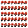 Tegg Wooden Ladybug Sticker 100PCS 3D Tiny Red Ladybird Flatback