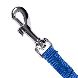 GoGo Pet Products 3/8-Inch Wide Comfy Nylon Dog Leash, 6-Feet Long, Blue