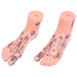 SAFIGLE Foot Massage Model for Acupoint Teaching Realistic Display Lifelike Details for Foot Therapy and Relaxation