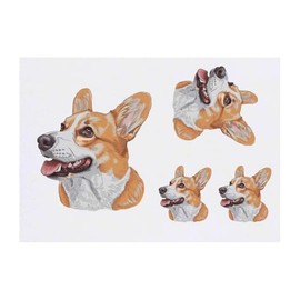 Azeeda 4 x 'Welsh Corgi mit offenem Mund' Temporäre Tattoos - Wasserfest, Hautfreundlich & Ungiftig · Transfers in Verschiedenen Größen (TO00076462)