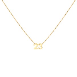 LOXUAKAM Gold Number 23 Necklace for Women, Dainty Number Pendant Necklace for Women Birthday Anniversary Charm Jewelry Gifts for Mothers