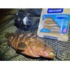 Mustad MZTM-SRS-3-6 Worm Mezashi Z-Tail Minnow, 3-Inch, Whitebait