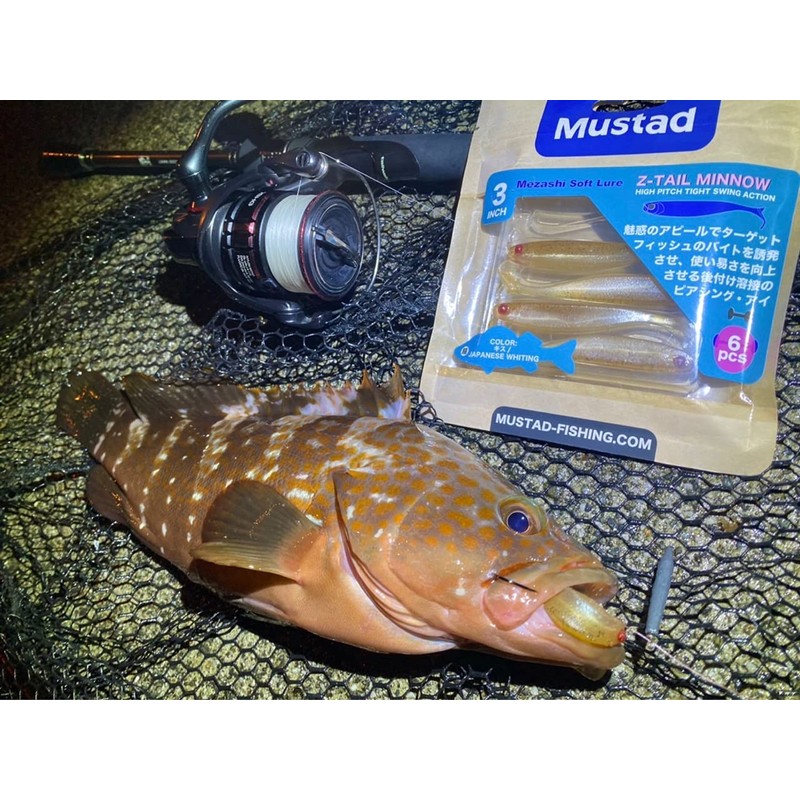 Mustad MZTM-SRS-3-6 Worm Mezashi Z-Tail Minnow, 3-Inch, Whitebait