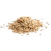 Good Sense | Sunflower Nuts | Honey Roasted Sunflower Seeds