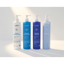 Sante [Sante Azulene Soother 4-Piece Set] Soother Toner Cleanser Soother Lotion Soother Gel Moist Moisture Refilling Gift Set / [상떼 아줄렌 수더 4종 세트] 수더토너 클렌저 수더로션 수더겔 촉촉한 수분충전 선물세트