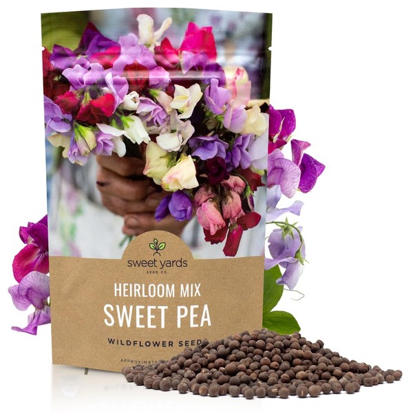 Sweet Pea Seeds Heirloom Mix - Bulk 1/4 Pound Bag
