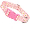 Girl Dog Collars for Large Dogs,Female Dog Collars with Pink