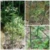 Tomato Plant Support Cages, 48 inches, 3 Pack, Garden Trellis