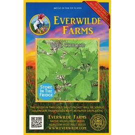 Everwilde Farms - 5 Blue Cohosh Native Wildflower Seeds - Gold Vault Jumbo Seed Packet