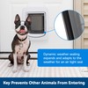 PetSafe SmartDoor Connected Pet Door for Cats and Dogs Installation