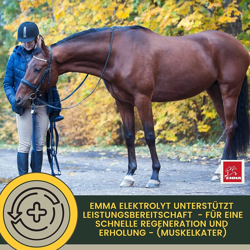 Elektrolyte Pferd - Vitamin Paste für Pferde I Vitamin b