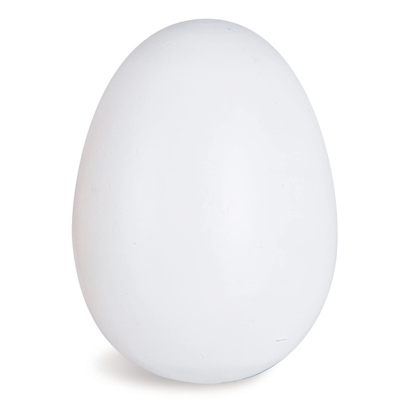 Eichhorn 100003737 Egg Box with 6 Eggs 3 With Magnetic