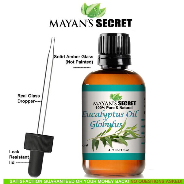 Eucalyptus Globulus Essential Oil, Aromatherapy for Clear Breathing Large 4oz