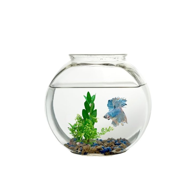 Koller Products 1-Gallon Fish Bowl, Impact-Resistant Plastic
