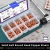 Swpeet 270Pcs M2 M2.5 M3 Half Round Head Copper Solid