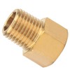 Shower Hose Adapter Bsp to NPT Adapter, Brass Pipe Screw