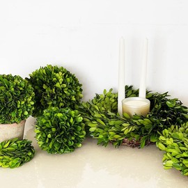 BOXWOOD WORLD Decorative Boxwood Balls for Bowls and Decorative Balls for Centerpiece Bowl Fillers Vase Fillers Home/Kitchen/Living Room Decor (8 inch)