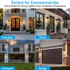 LEONLITE 16 Inch Dusk to Dawn Outdoor Wall Lights, Porch