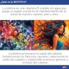 Difeel Biotin Hair Oil Blend - Mezcla grande de 12
