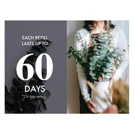 Arm & Hammer Plug in Scented Oil 2 Refills, Eucalyptus, 1.42 Oz