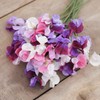 Eden Brothers Sweet Pea Seeds - Spencer Mix