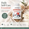 Berberine Supplement for Daily Wellness – Immune Support Capsules for