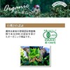 Camomilla Bio 40g Hampstead Tea
