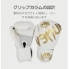 Boxing Gloves (6 oz / 8 oz / 10 oz