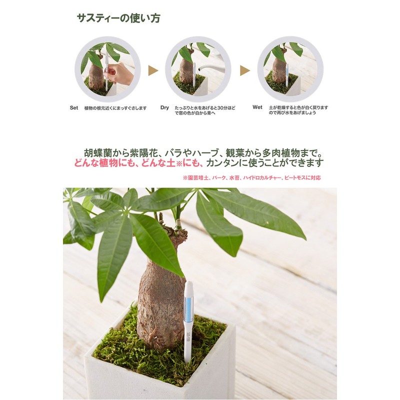 Watering Water Meter, Sustee Replacement Refill, Large Size 6-12