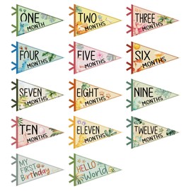 14 Pcs Baby Felt Pennant Milestone Signs，Triangle Flag Age Milestone Flag Signs for Boy Girl Newborn Birthday Party Decor，Cute Photography Prop，Dinosaur Baby Milestone for Shower Gifts（dinosaur）