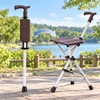 Folding Walking Cane with Seat for Outdoor Rest – Portable